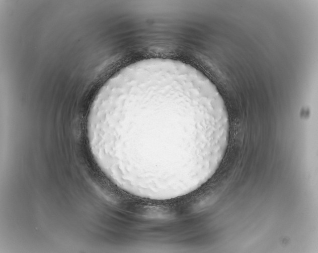 X0000090450741200708102049