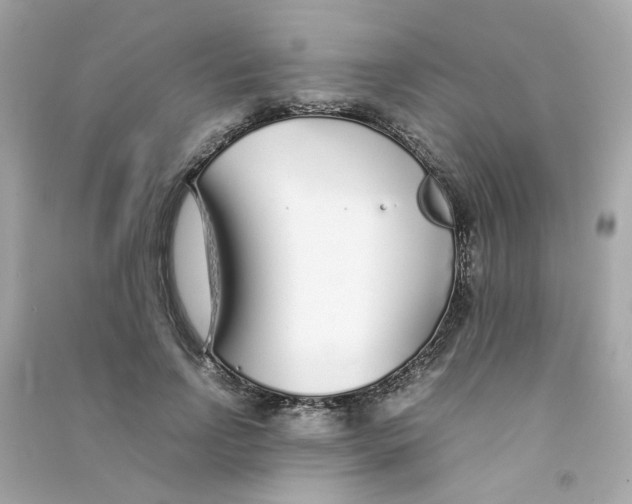 X0000090450742200708102049