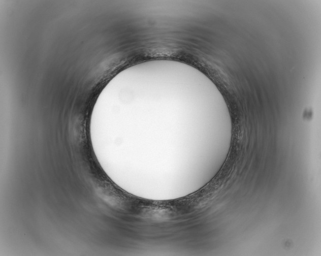 X0000090450743200708102049