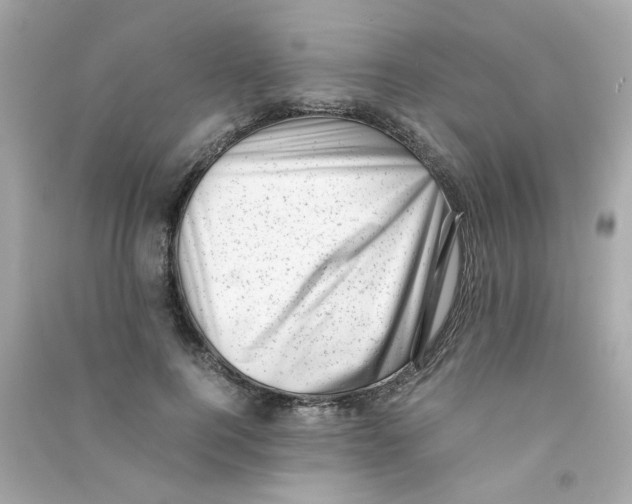 X0000090450744200708102049