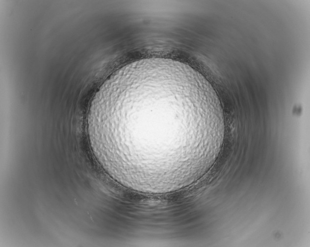 X0000090450745200708102049