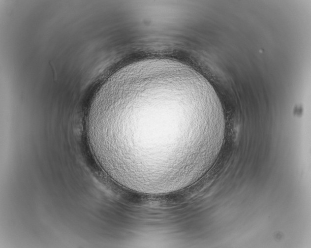 X0000090450746200708102049