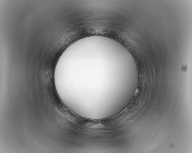 X0000090450747200708102049