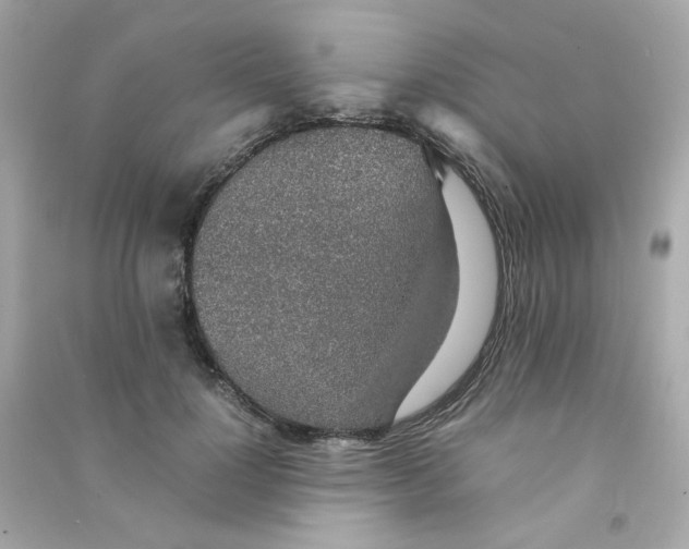 X0000090450748200708102049