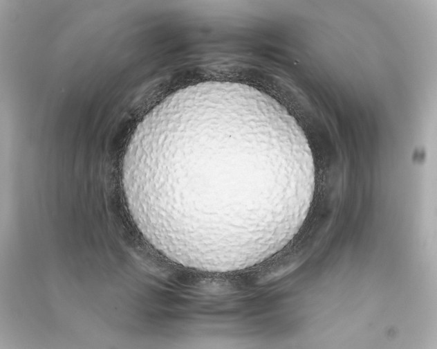 X0000090450749200708102049