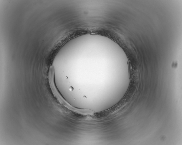 X0000090450750200708102049