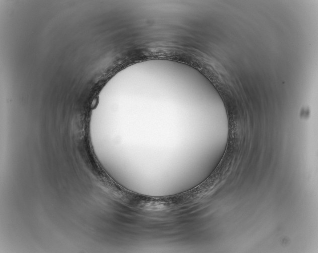 X0000090450751200708102049