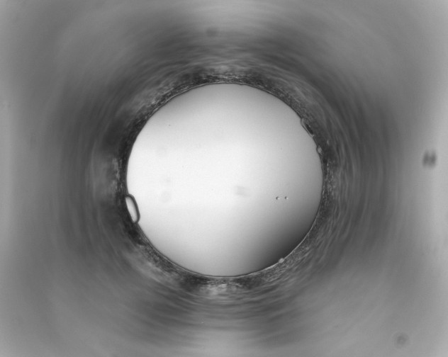 X0000090450752200708102049