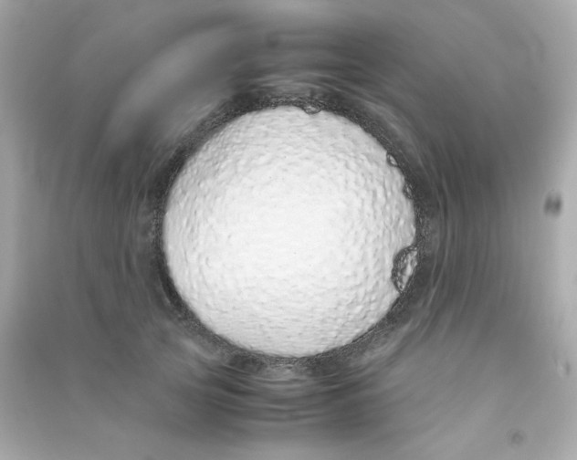 X0000090450753200708102049