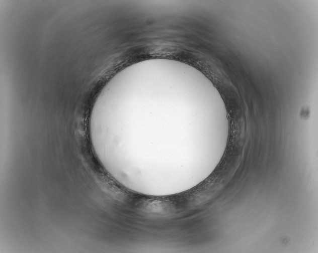 X0000090450755200708102049