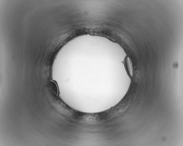 X0000090450756200708102049