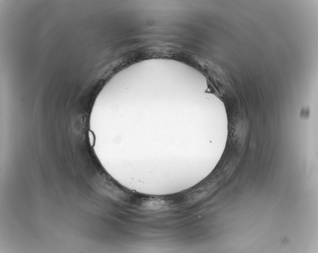 X0000090450759200708102049