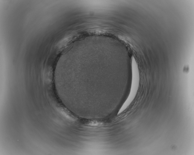 X0000090450760200708102049