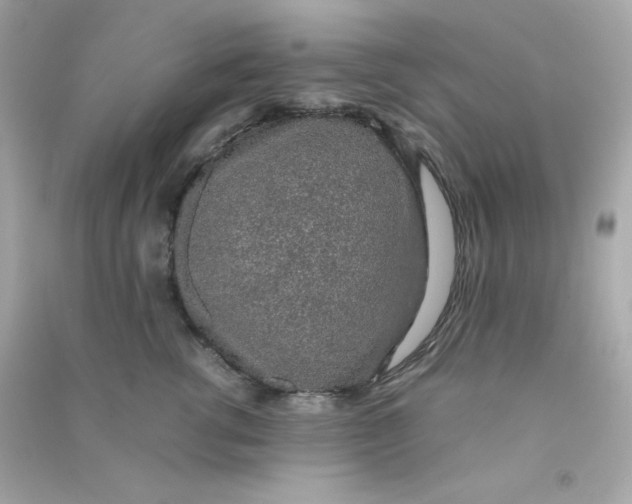 X0000090450762200708102049