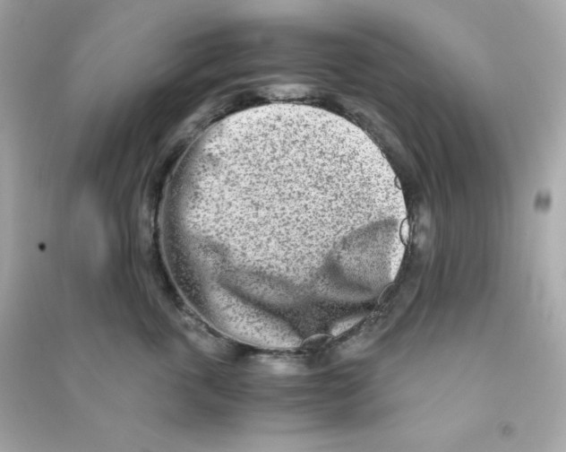 X0000090450763200708102049