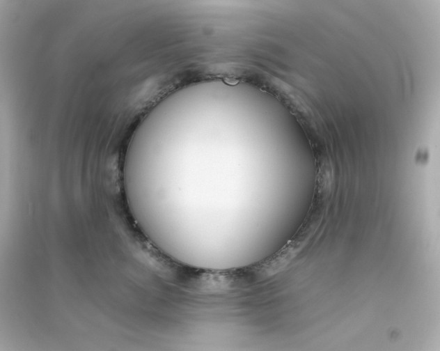 X0000090450764200708102049