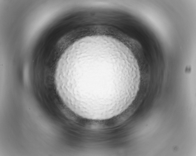 X0000090450765200708102049