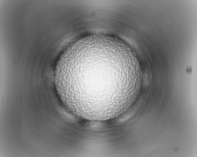 X0000090450766200708102049