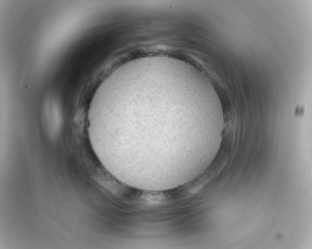 X0000090450767200708102049