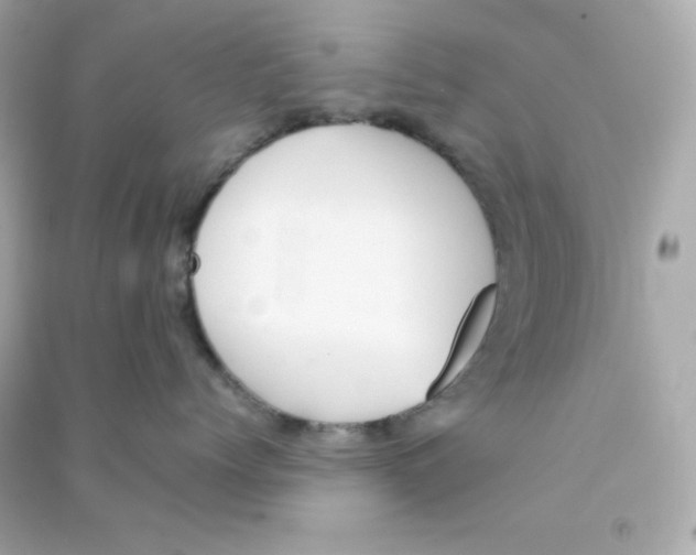 X0000090450768200708102049