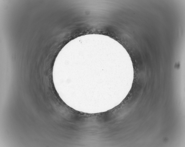 X0000090450769200708102049