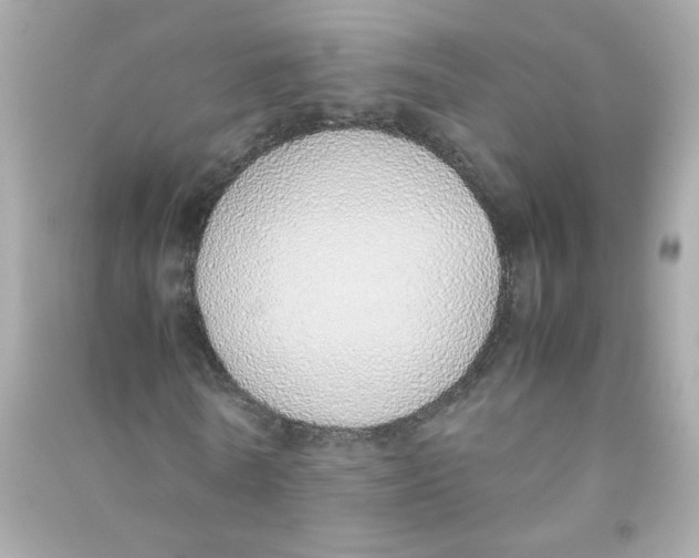 X0000090450770200708102049