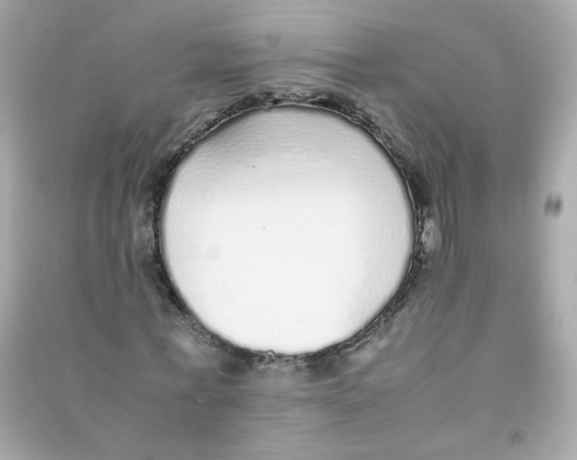 X0000090450771200708102049