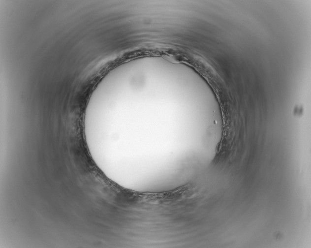 X0000090450773200708102049