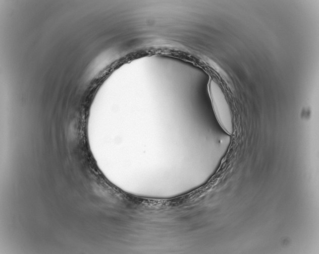 X0000090450775200708102049