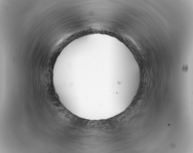 X0000090450776200708102049