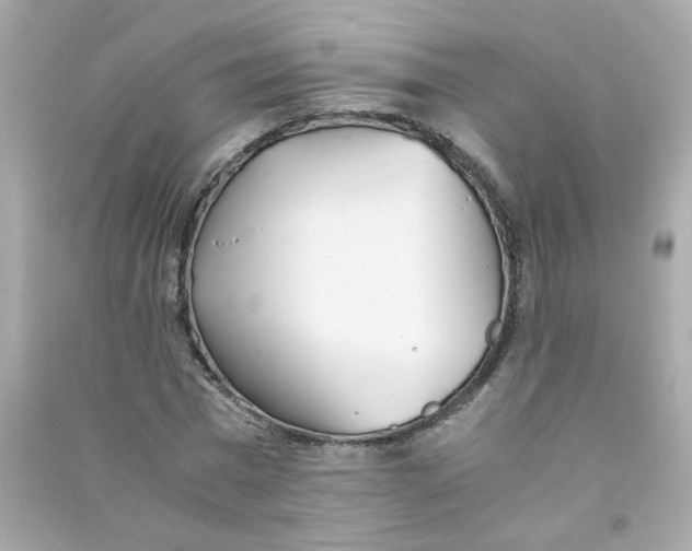 X0000090450777200708102049