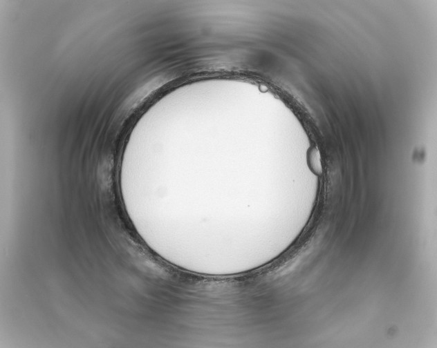 X0000090450778200708102049