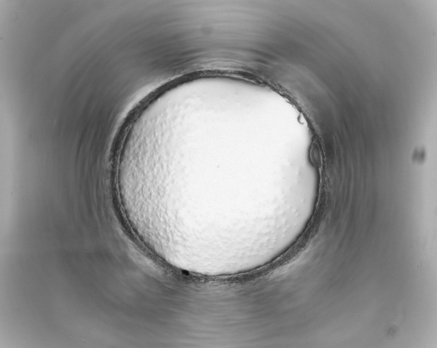 X0000090450779200708102049