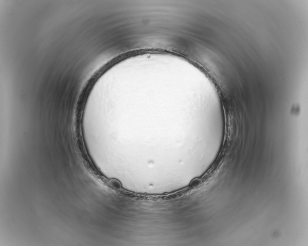 X0000090450780200708102049