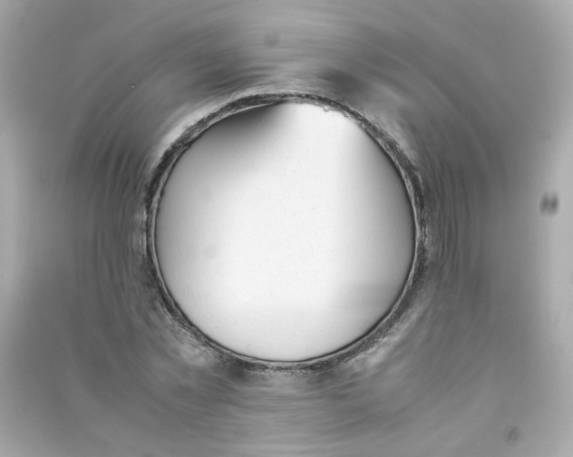 X0000090450781200708102049