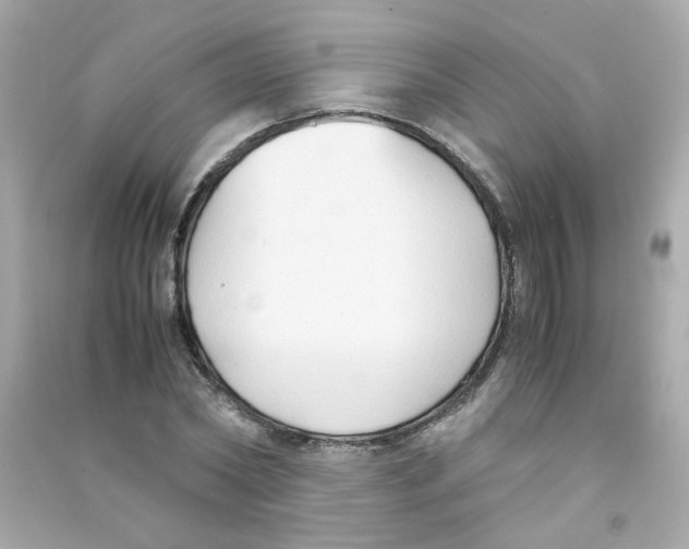 X0000090450782200708102049