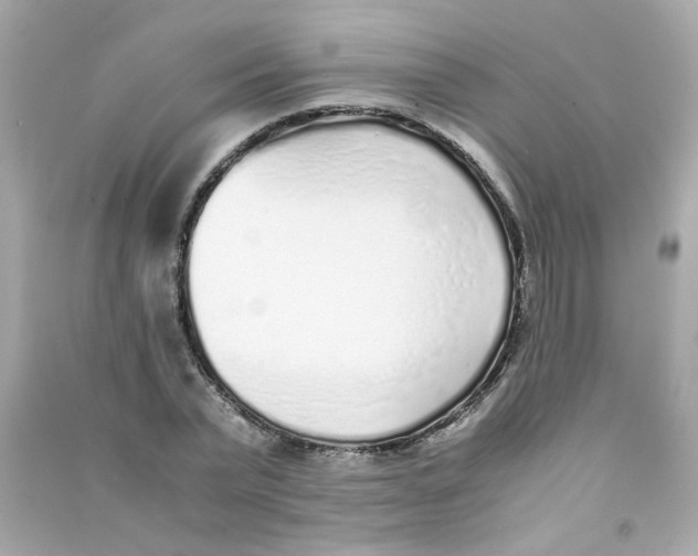 X0000090450783200708102049