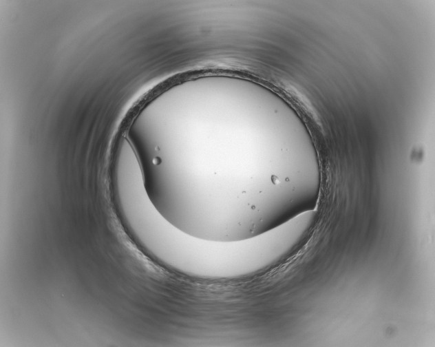 X0000090450784200708102049