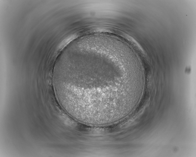 X0000090450785200708102049