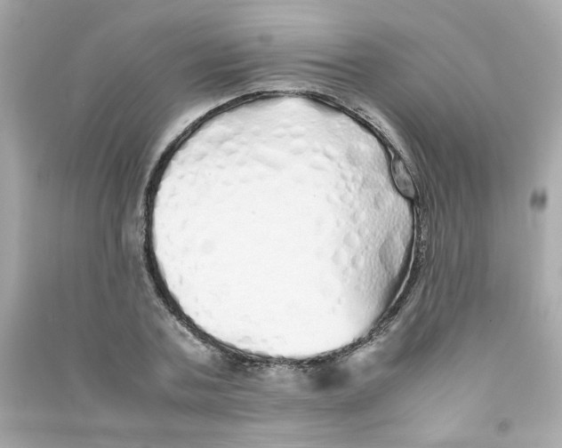 X0000090450787200708102048