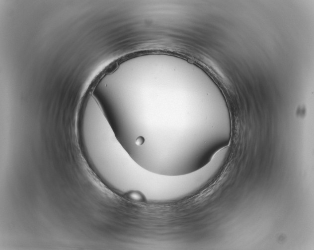 X0000090450788200708102048