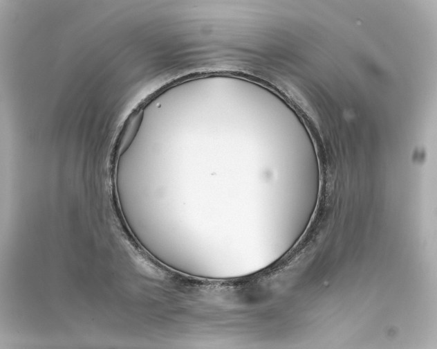 X0000090450789200708102048