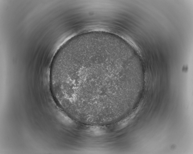 X0000090450790200708102048