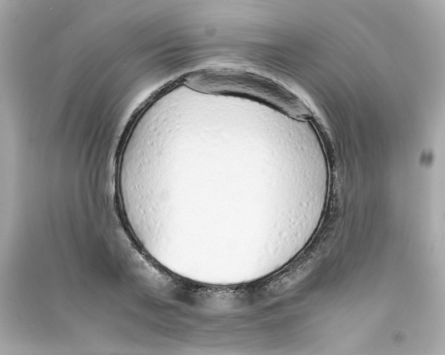 X0000090450791200708102048