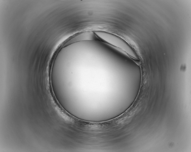 X0000090450792200708102048