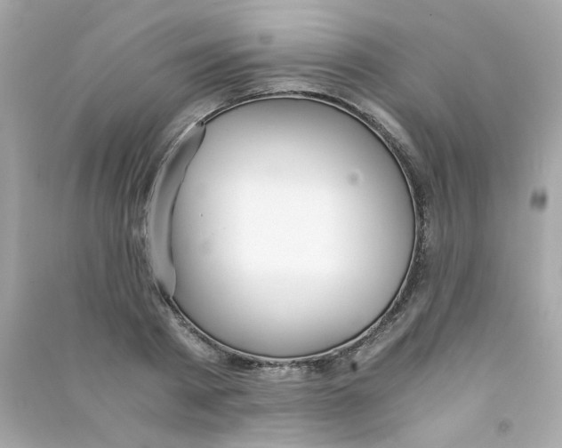 X0000090450793200708102048