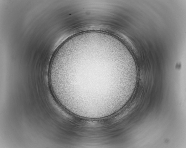 X0000090450794200708102048