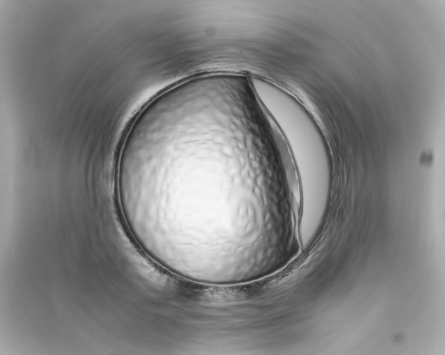 X0000090450795200708102048