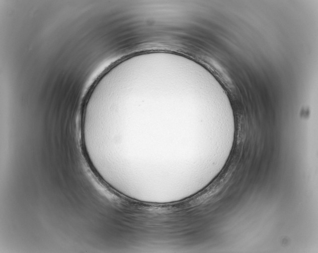 X0000090450796200708102048