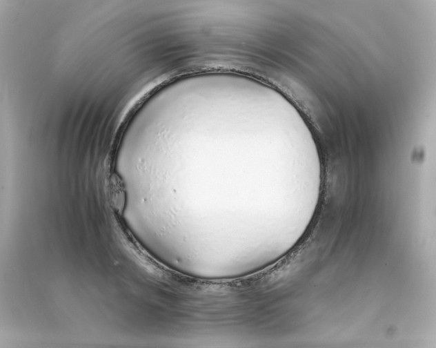 X0000090450798200708102048